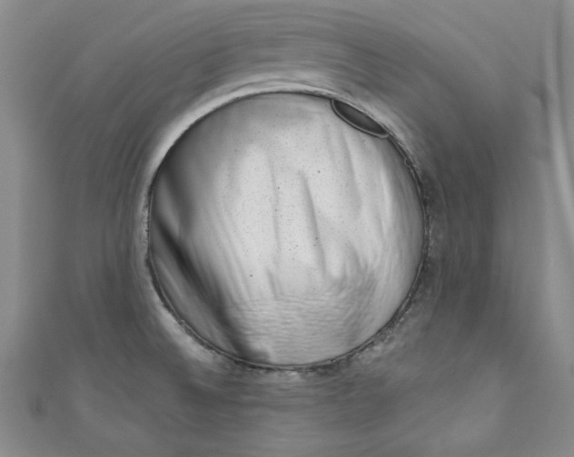 X0000110861524200907021405