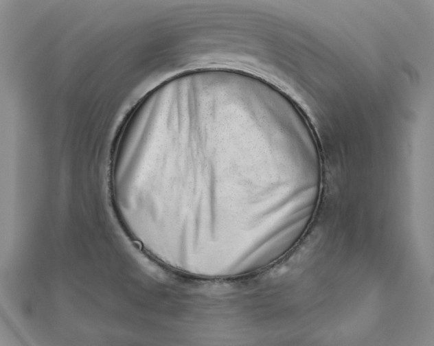 X0000110861525200907021405