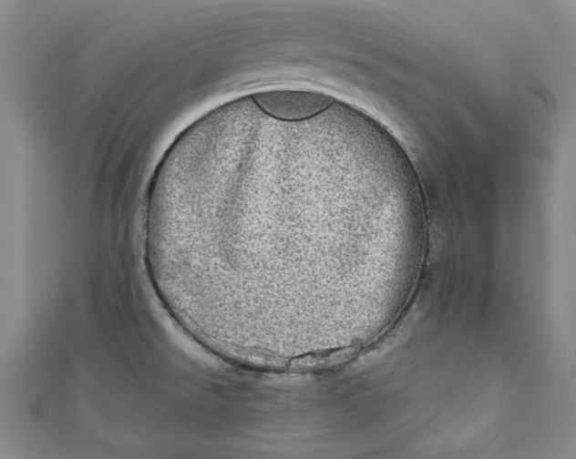 X0000110861526200907021405