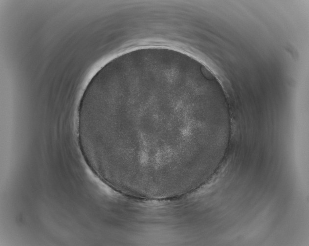 X0000110861527200907021405