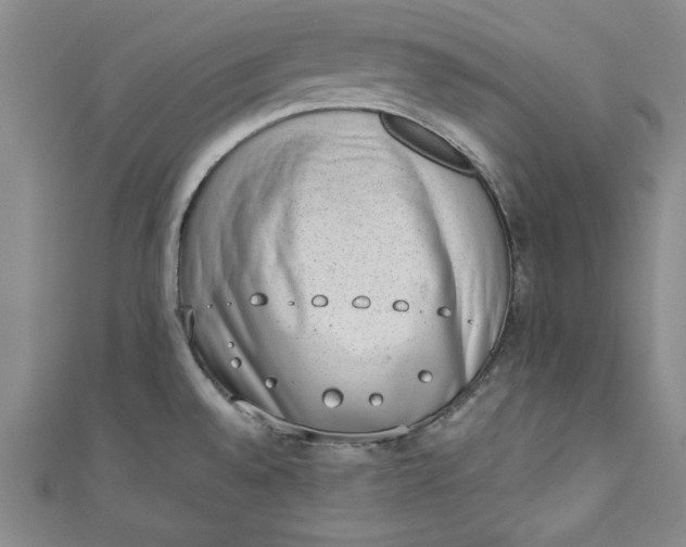 X0000110861528200907021405