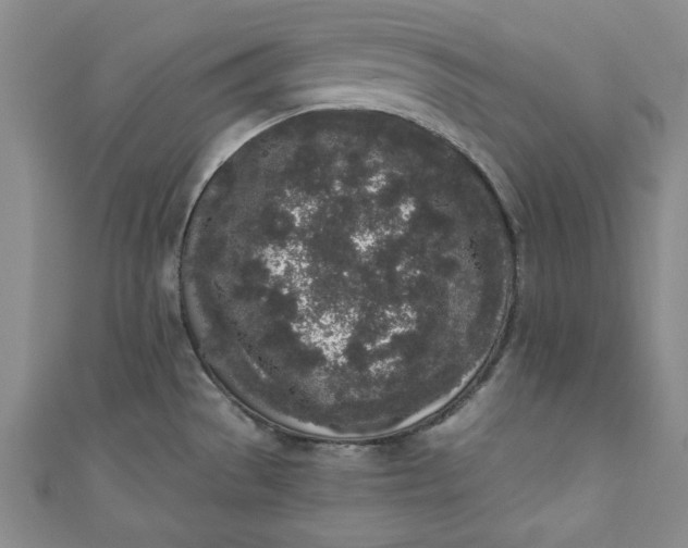 X0000110861529200907021405