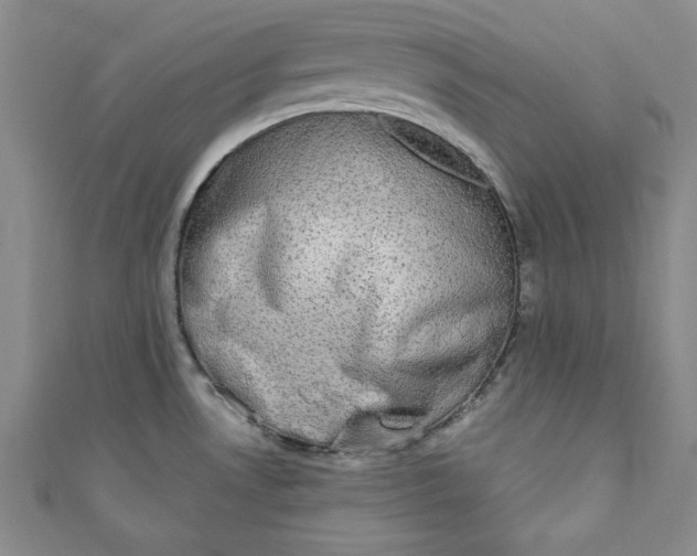 X0000110861530200907021405