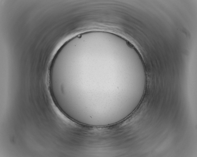 X0000110861531200907021405