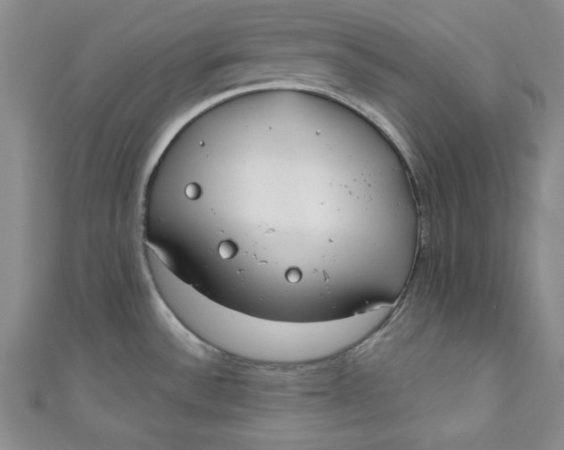 X0000110861532200907021405