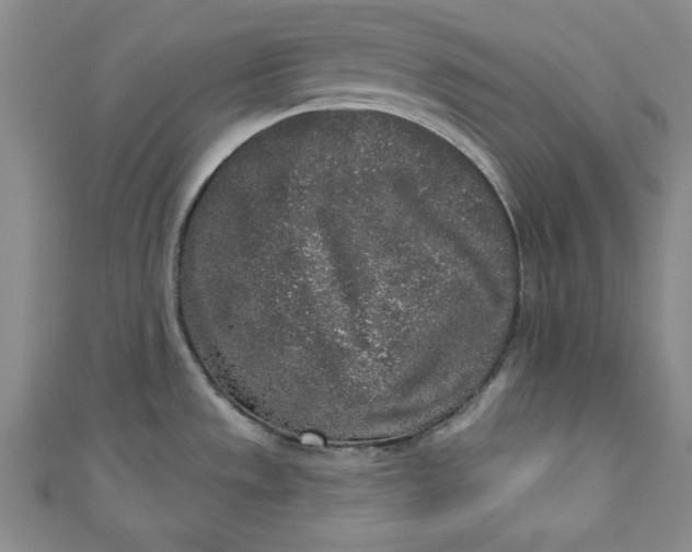 X0000110861533200907021405