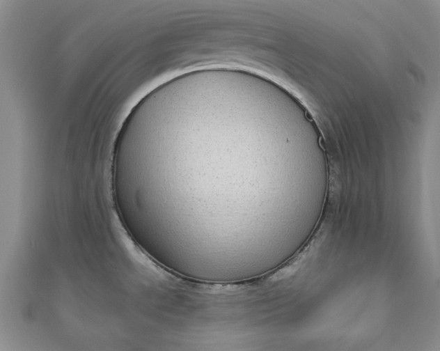 X0000110861534200907021405