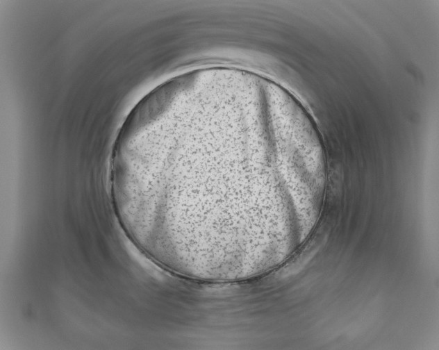 X0000110861535200907021405