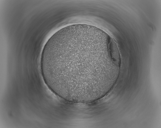 X0000110861536200907021405