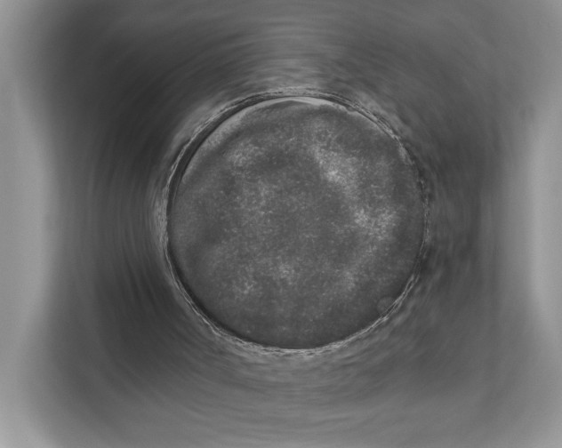 X0000110860002200907091350
