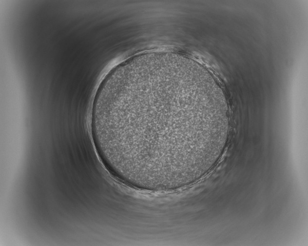 X0000110860003200907091350