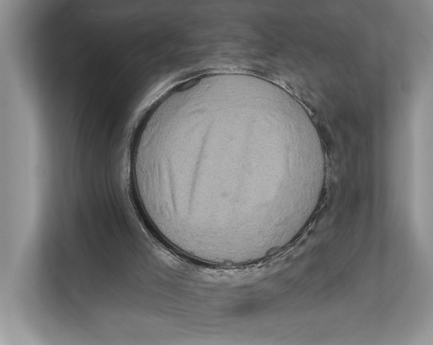 X0000110860005200907091350