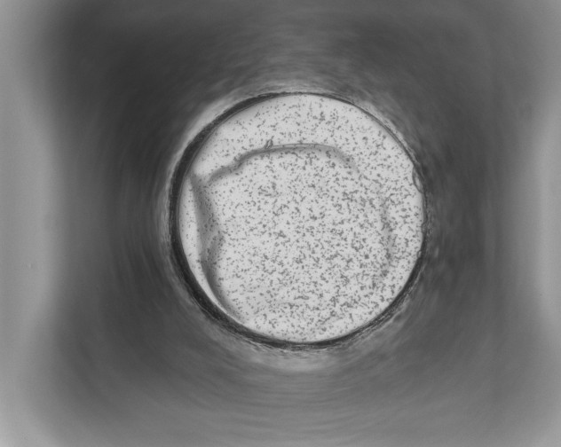 X0000110860008200907091350