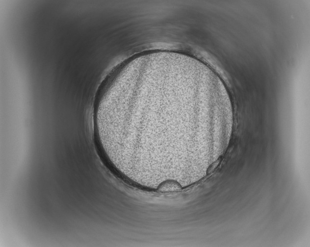 X0000110860011200907091350