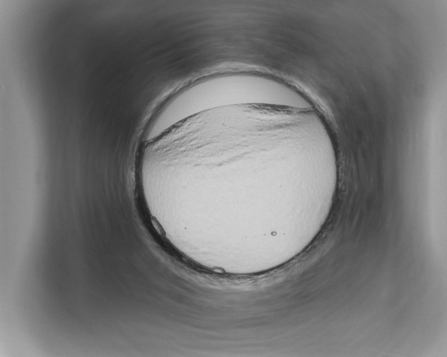 X0000110860015200907091349