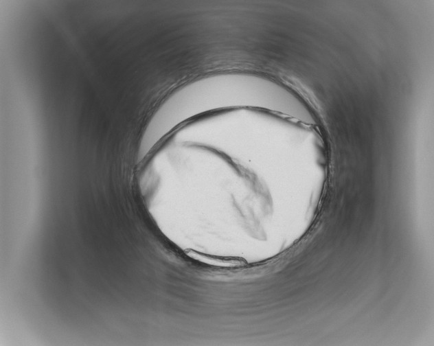 X0000110860017200907091349