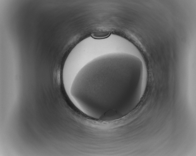 X0000110860019200907091349
