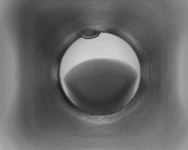 X0000110860023200907091349