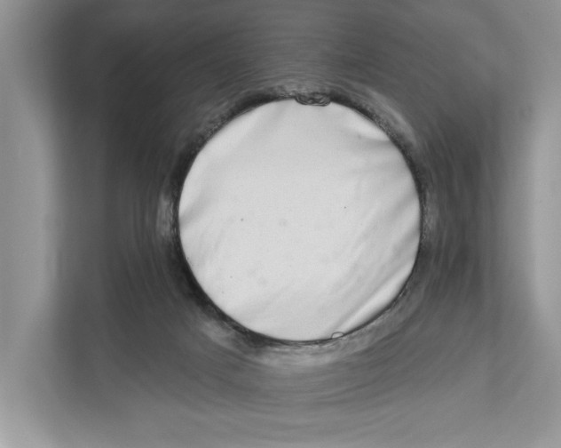 X0000110860025200907091349