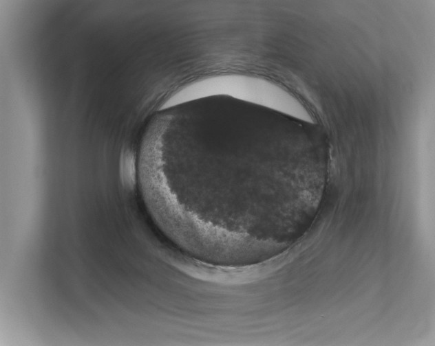 X0000110860027200907091349