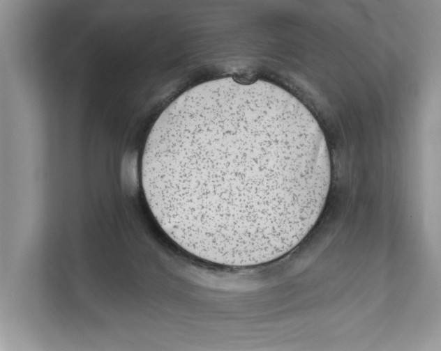 X0000110860028200907091349