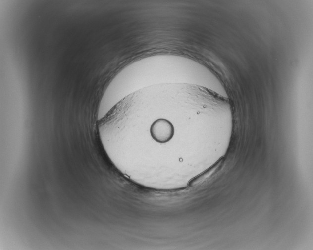 X0000110860029200907091349