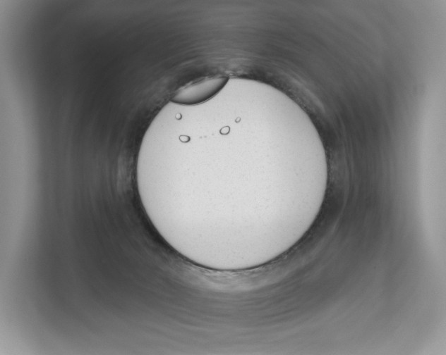 X0000110860030200907091349