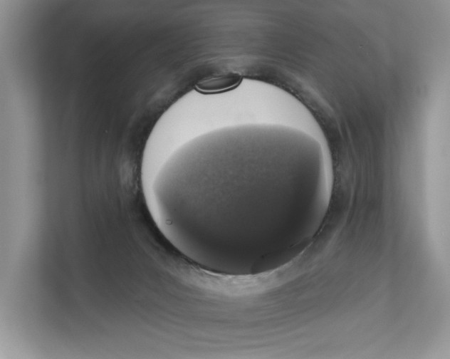 X0000110860031200907091349