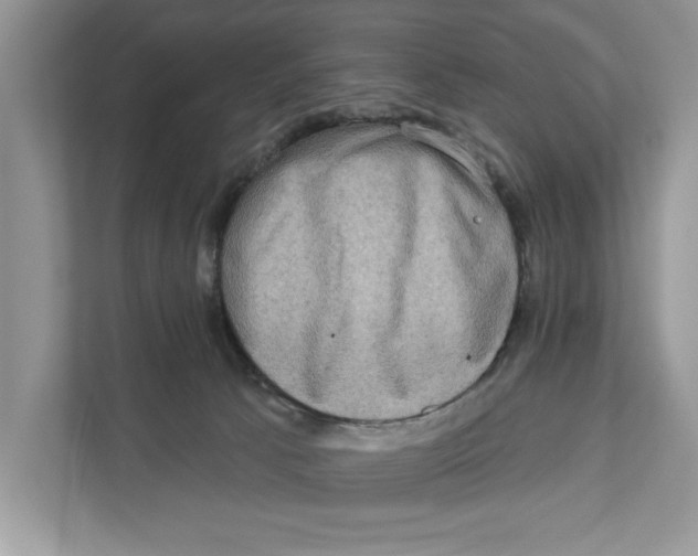X0000110860033200907091349