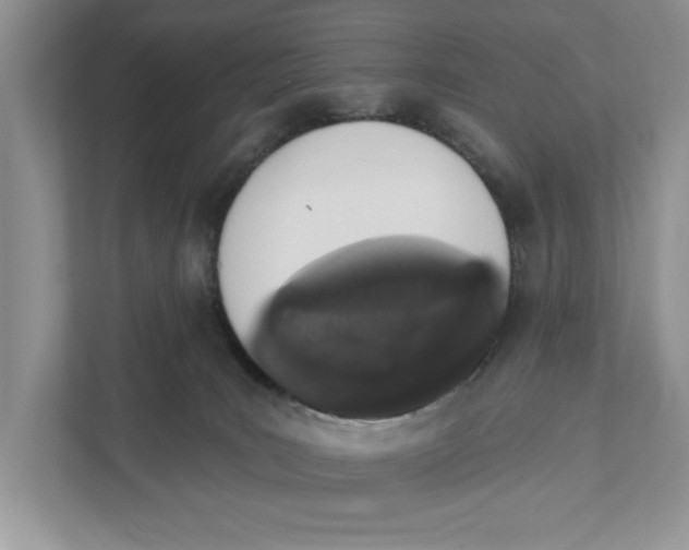 X0000110860035200907091349