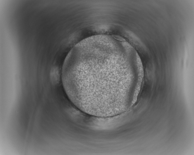 X0000110860037200907091349