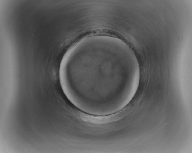 X0000110860039200907091349