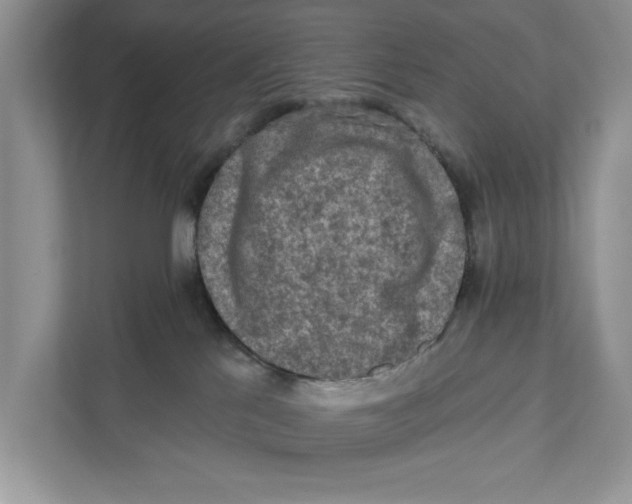 X0000110860041200907091349
