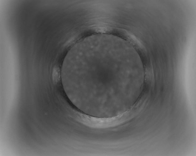 X0000110860043200907091349
