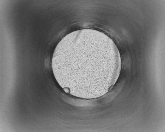 X0000110860044200907091349