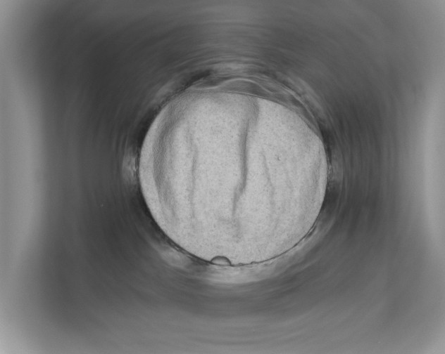 X0000110860045200907091349