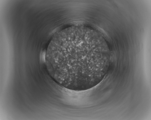 X0000110860047200907091349