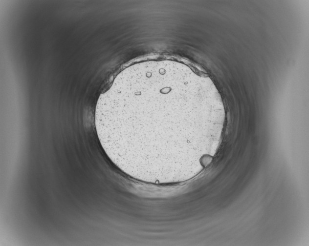 X0000110860048200907091349