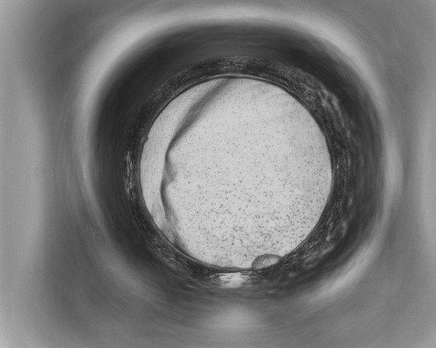 X0000110860050200907091348
