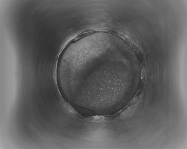 X0000110860052200907091348