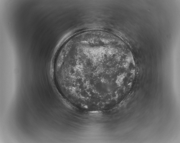 X0000110860053200907091348