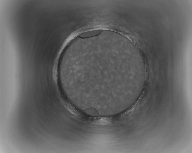 X0000110860056200907091348