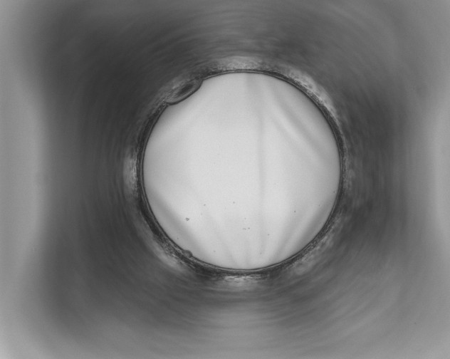 X0000110860057200907091348