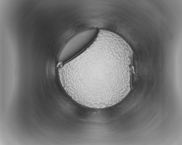 X0000110860068200907091348