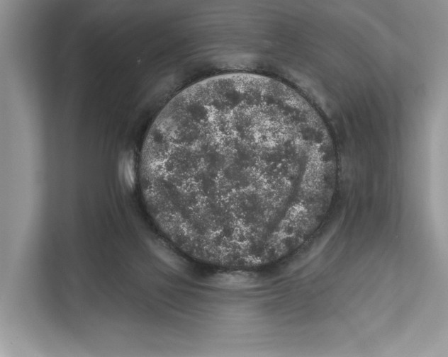 X0000110860069200907091349