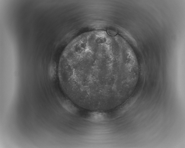 X0000110860073200907091349