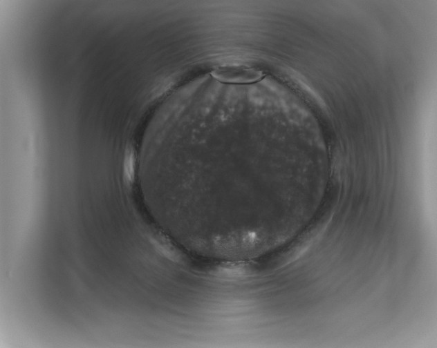 X0000110860076200907091349
