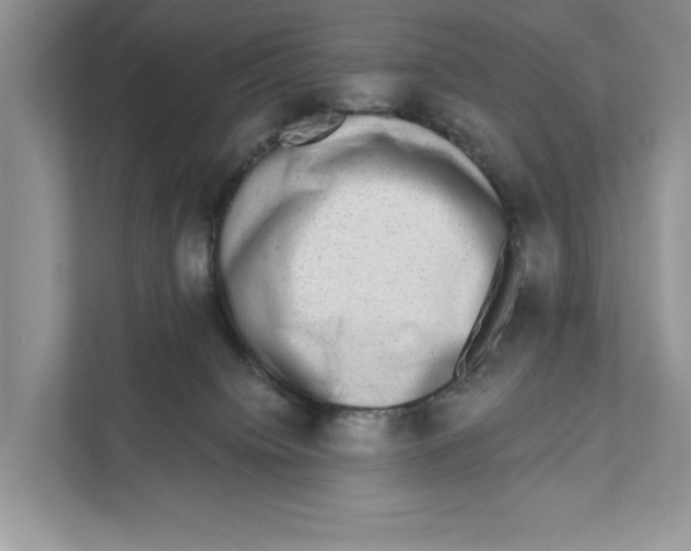 X0000110860084200907091349