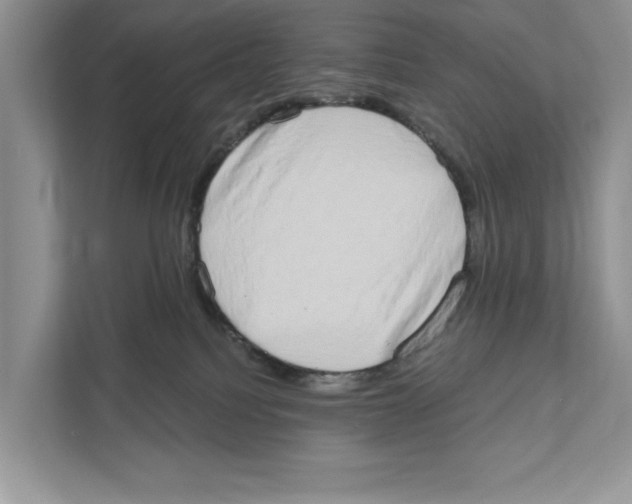 X0000110860088200907091349