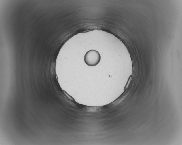 X0000110860096200907091349